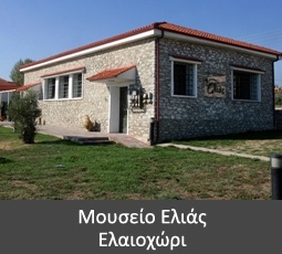 Oil - Olive Museum of Elaiochori
