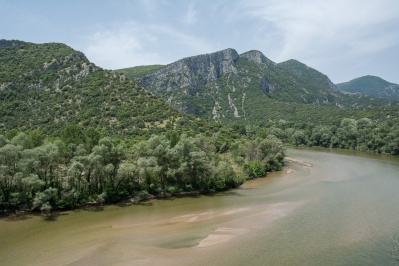 Aesthetic Forest of Strait of Nestos River